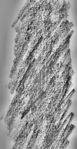 Wasserzeichen DE0960-Mlf256_143r