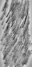 DE0960-Mlf256_146r - Typ:0 - ID: 163421 - Eintrag Nr.: 133 Wasserzeichen DE0960-Mlf256_146r