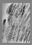 Wasserzeichen DE0960-Mlf256_227r