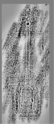 Wasserzeichen DE0960-Mlf256_210r