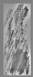 Wasserzeichen DE0960-Mlf256_212r