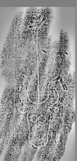 Wasserzeichen DE0960-Mlf256_241r