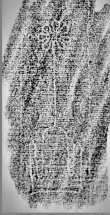Wasserzeichen DE0960-Mlf256_252r