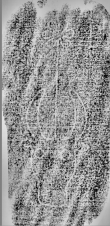 Wasserzeichen DE0960-Mlf256_352r