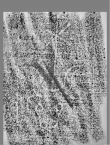 Wasserzeichen DE0960-Mlf256_471r