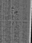 Wasserzeichen IS5000-02-0001g_3