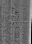 Wasserzeichen IS5000-02-0001g_2