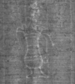 Wasserzeichen FR7600-524_91