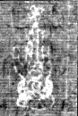 Wasserzeichen FR7600-535_5