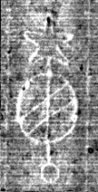 Wasserzeichen FR7600-536_16