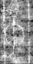Wasserzeichen FR7600-536_51