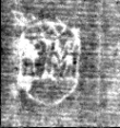 Wasserzeichen FR7600-543_26