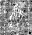 Wasserzeichen FR7600-543_143