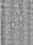 Wasserzeichen IS5000-02-0108_1v