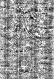 Wasserzeichen IS5000-02-0108_15r