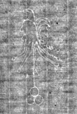 Wasserzeichen IS5000-02-0108_16r