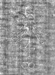 Wasserzeichen IS5000-02-0108_18v