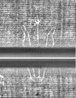 Wasserzeichen FR7600-397_37