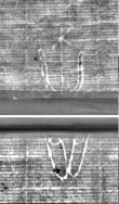 Wasserzeichen FR7600-397_1