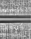 Wasserzeichen FR7600-397_35