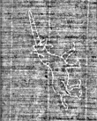Wasserzeichen FR7600-BB1_78