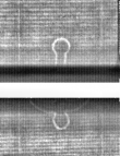 Wasserzeichen FR7600-326_C
