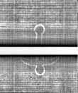 Wasserzeichen FR7600-326_F