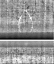 Wasserzeichen FR7600-326_1