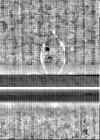 Wasserzeichen FR7600-326_4