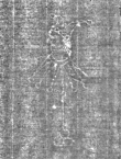 Wasserzeichen IS5000-02-0110_23v