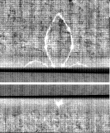 Wasserzeichen FR7600-326_6