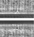 Wasserzeichen FR7600-326_17