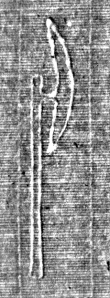 Wasserzeichen FR7600-248bis_41
