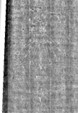 Wasserzeichen IS5000-02-0116_79v