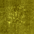 Wasserzeichen IS5000-02-0117_213v