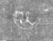 Wasserzeichen IS5000-02-0117_214r