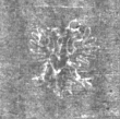 Wasserzeichen IS5000-02-0117_245v