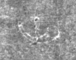 Wasserzeichen IS5000-02-0117_246r