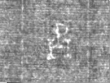 Wasserzeichen IS5000-02-0137_93v