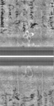 Wasserzeichen FR7600-300_9
