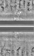 Wasserzeichen FR7600-300_10