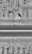 Wasserzeichen FR7600-300_20