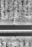 Wasserzeichen FR7600-300_51