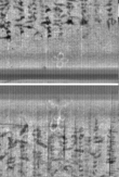 Wasserzeichen FR7600-300_92