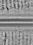 Wasserzeichen FR7600-300_93