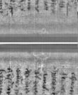 Wasserzeichen FR7600-300_100