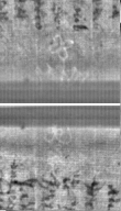 Wasserzeichen FR7600-300_102