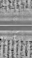 Wasserzeichen FR7600-300_109