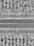 Wasserzeichen FR7600-300_127