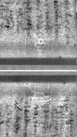 Wasserzeichen FR7600-300_135